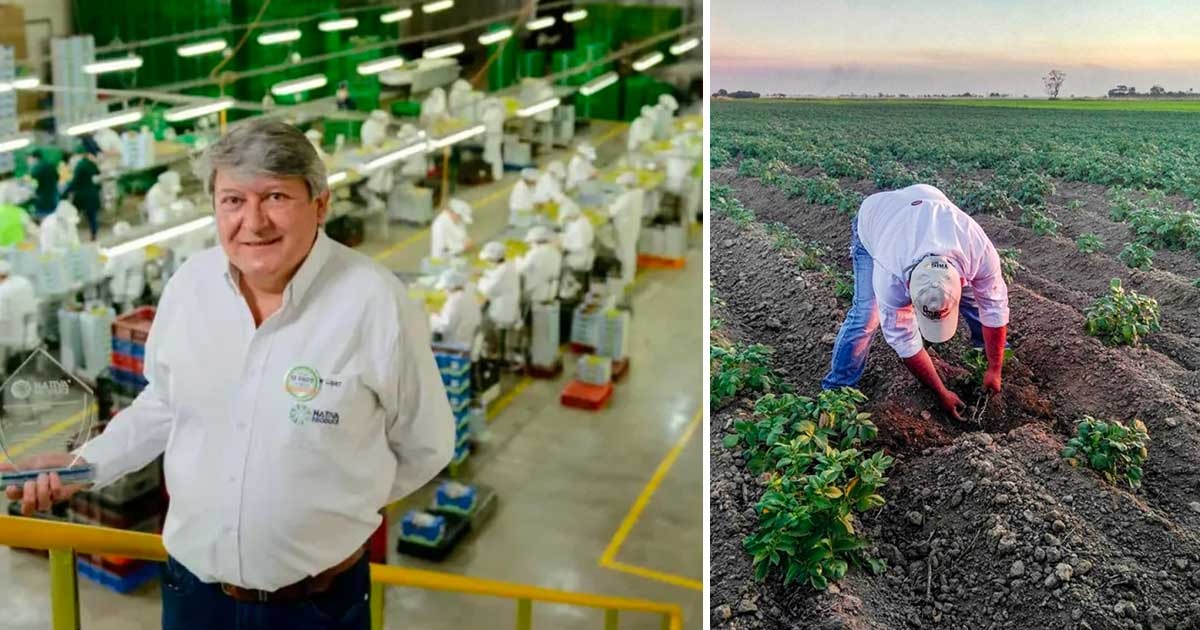 El bogotano que logró exportar papa a las islas del Caribe