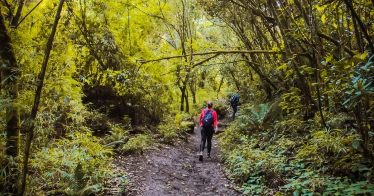 Cinco caminatas ecológicas en Cundinamarca para escapar de Bogotá por unas horas
