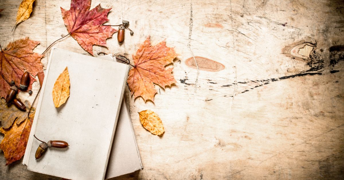 Frente a la soledad de un mundo colapsado: el derecho (irrenunciable) a la poesía