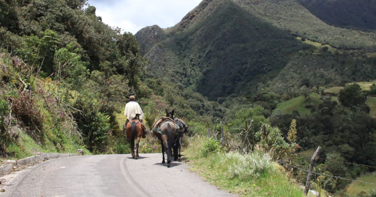 Se entregarán más de $386 millones para la cultura en Sumapaz