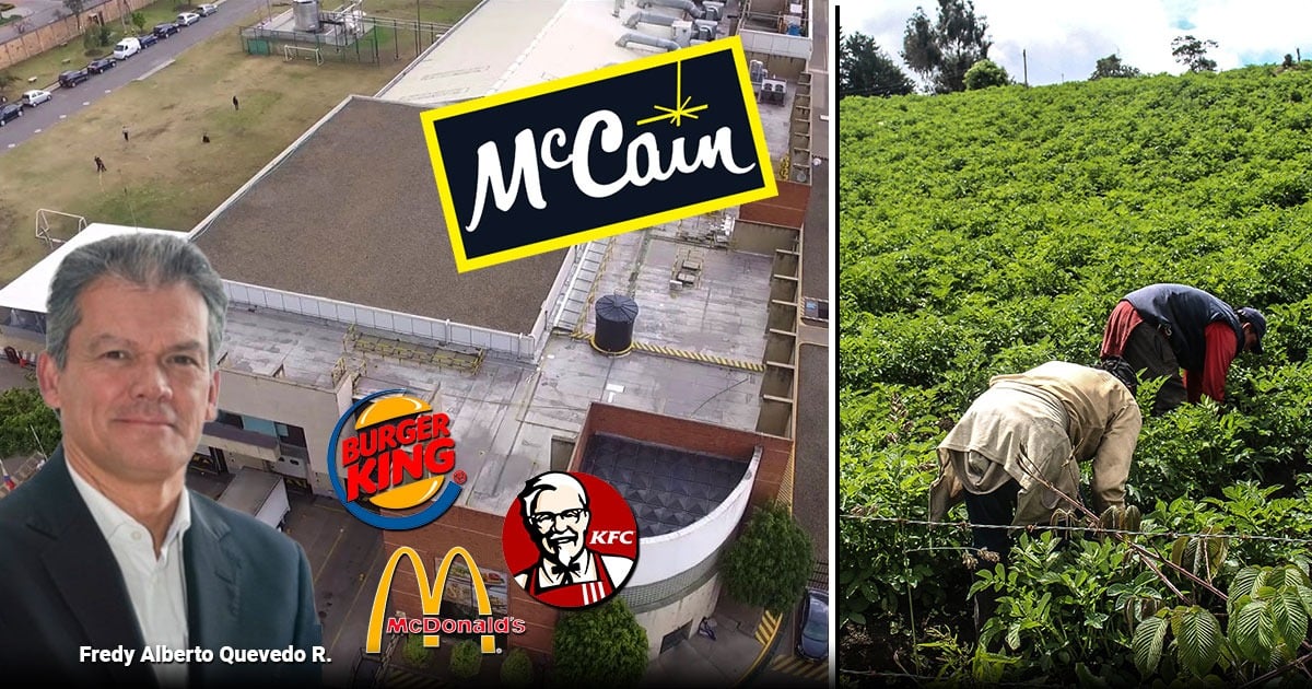 Los canadienses de McCain que cultiva papa en Colombia y le venden las francesas a McDonald´s, KFC y D1