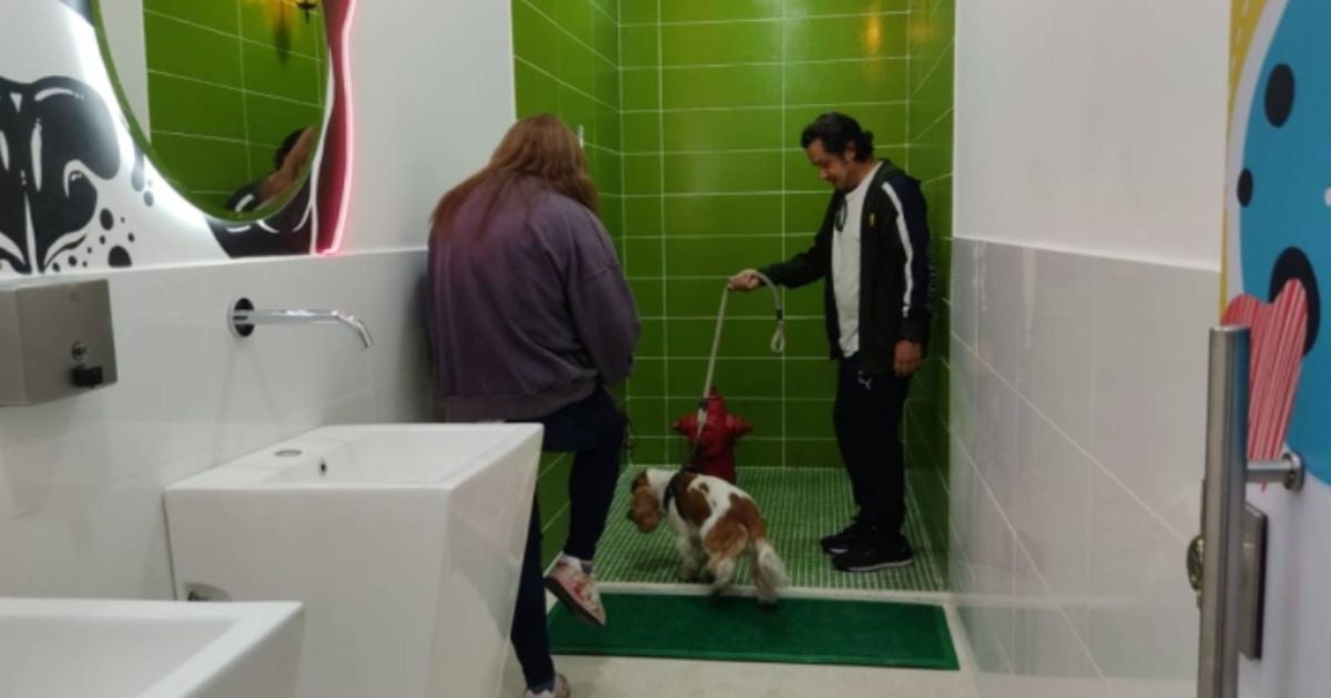 El centro comercial en Bogotá que tiene baño exclusivo para sus perros