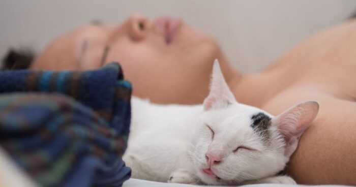 cómo saber si mi gato me quiere