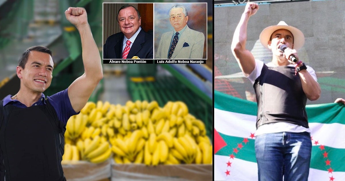 Daniel Noboa, el heredero de un gran emporio bananero, es el nuevo presidente de Ecuador