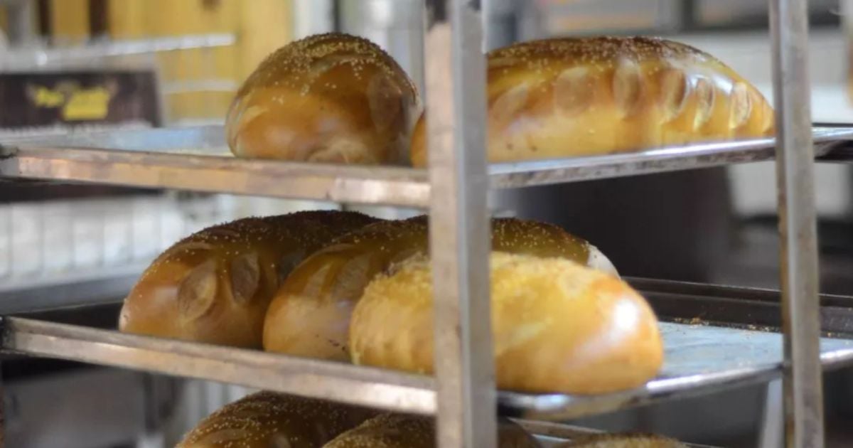 La única panadería de Bogotá que vende pan de todo tipo a 150 pesos