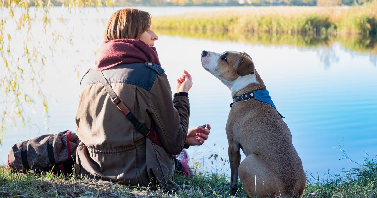 ¿Los perros pueden reconocer cuando sus dueños dicen mentiras? Esto dicen los expertos