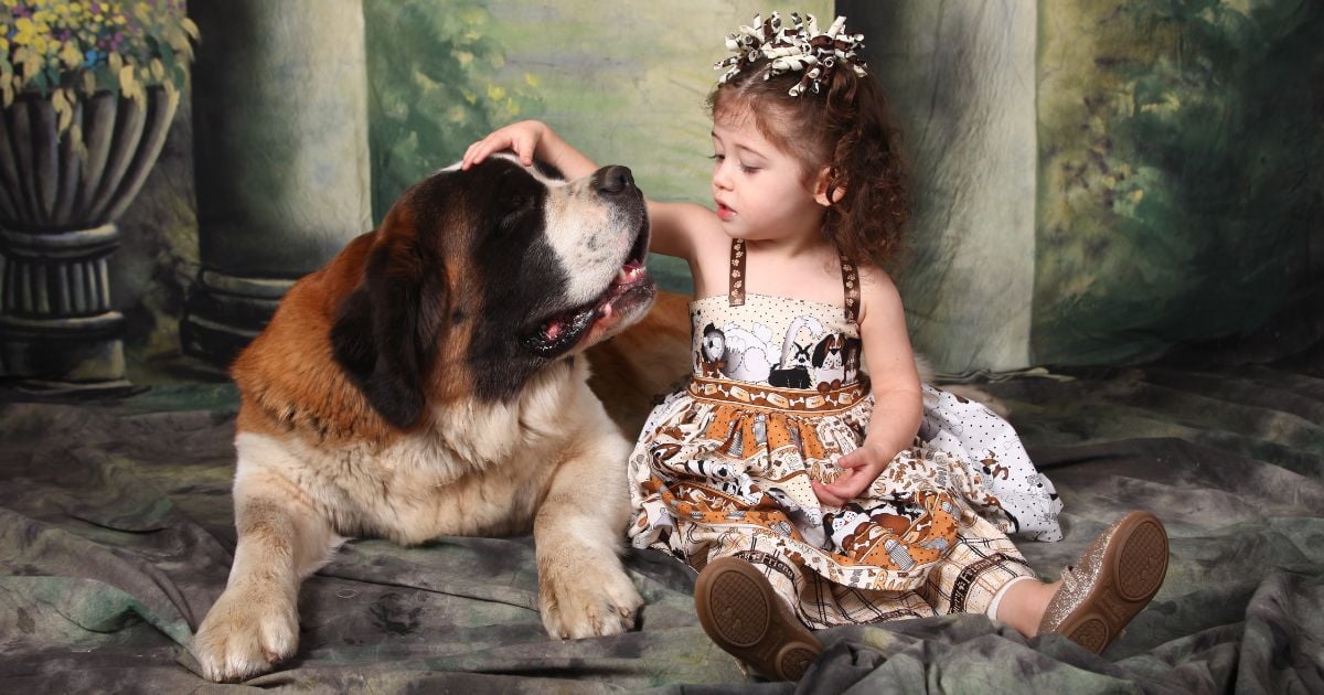 Las razas de perro más cariñosas y perfectas para ser mascotas de niños