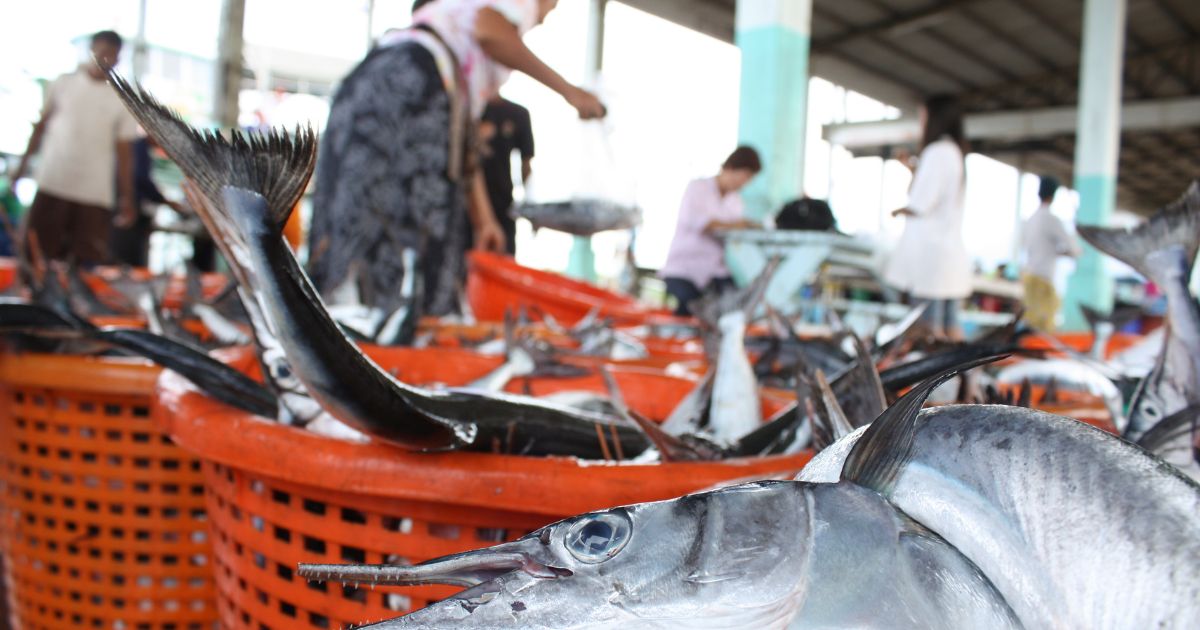 “La gente debe saber que el pescado que compra es resultado de la explotación de los pescadores”