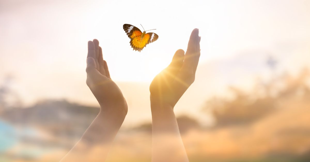 Carta a la hija del cambio