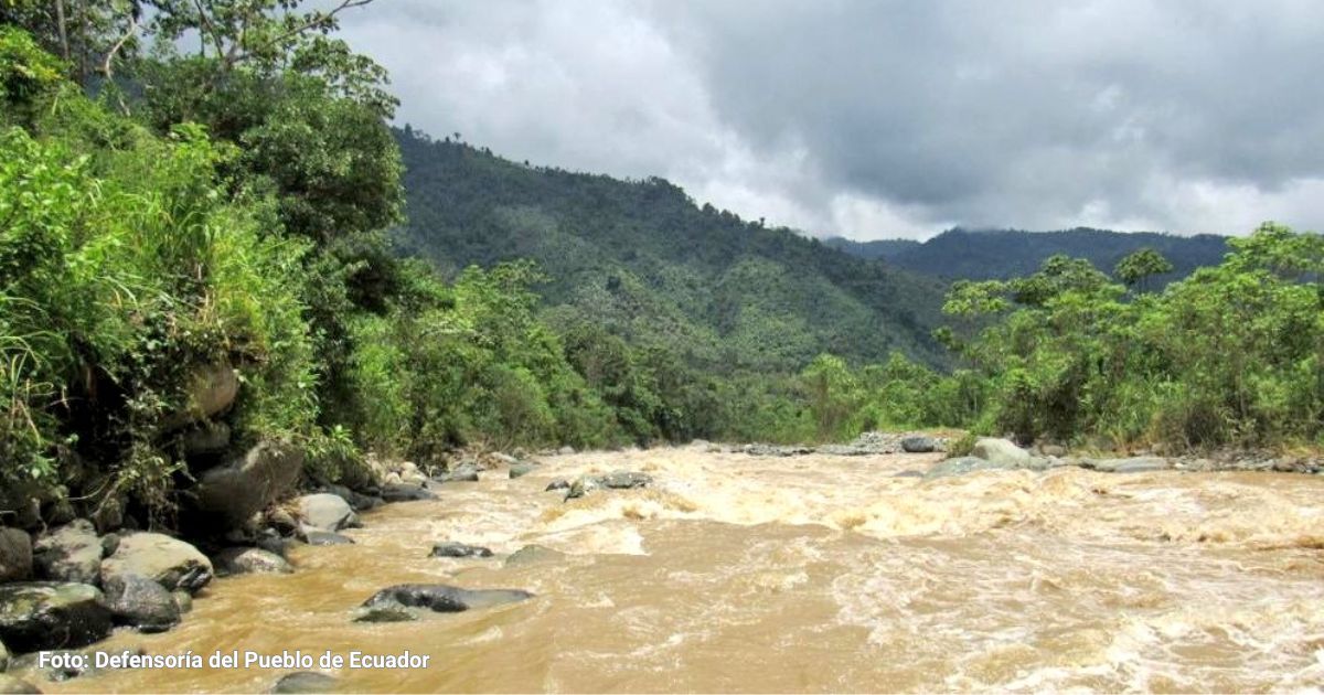 La región amazónica perdió un millón de hectáreas de superficie de agua dulce en diez años