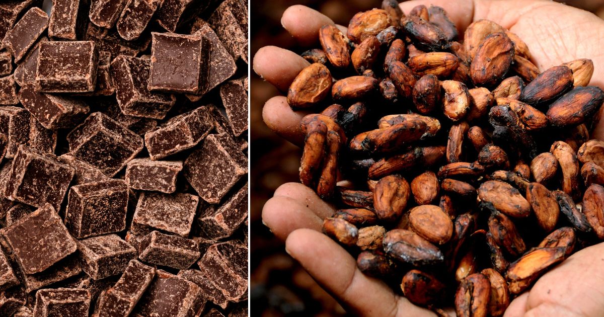 Chocoshow la gigante feria en Bogotá para probar y disfrutar de los mejores chocolates