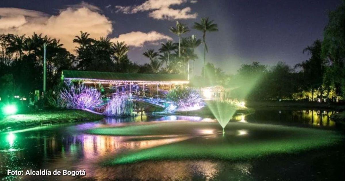 El show para ver luces en el Jardín Botánico estas navidades ¿cuándo empieza y cuanto vale?