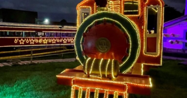 Tren de la Sabana - Tren de la Sabana navideño: todo lo que tiene que saber para disfrutarlo