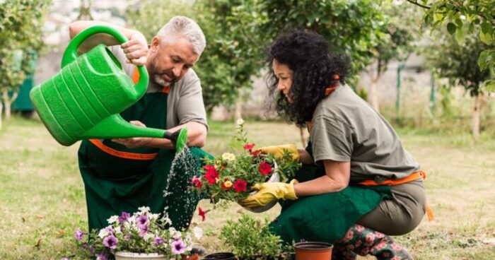 Pago de la prima trabajadores domesticos