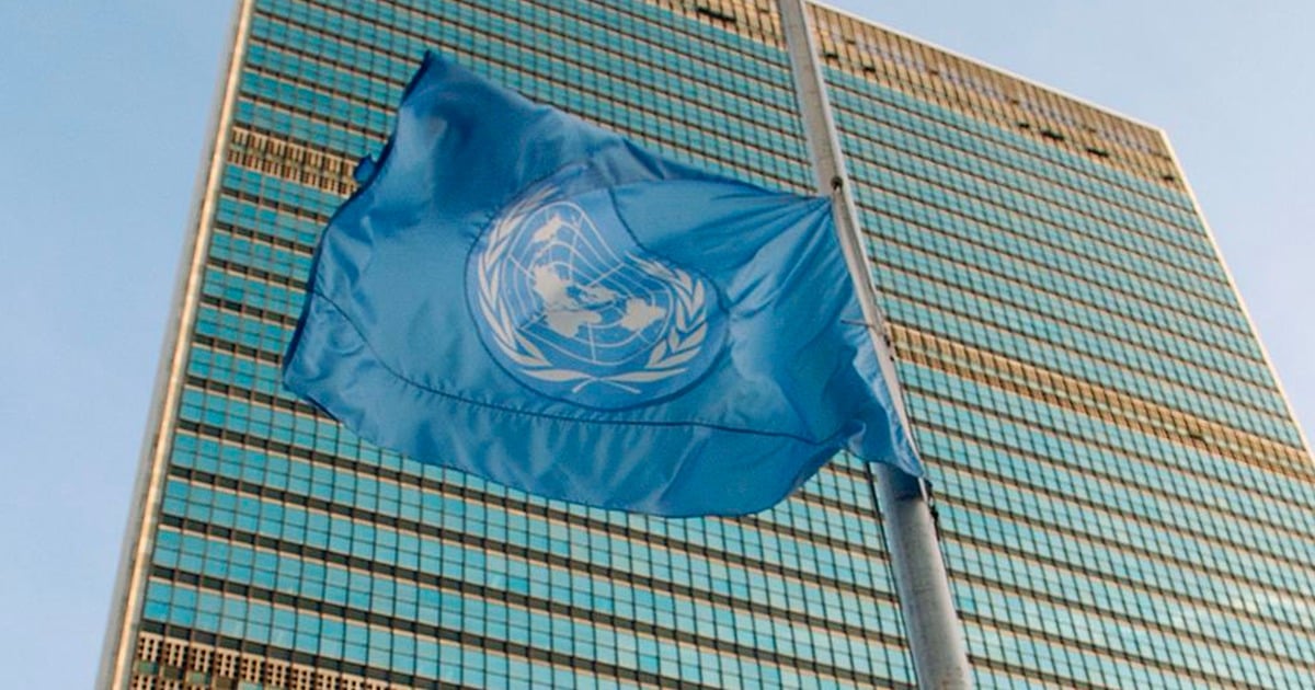 Las Naciones Unidas en Colombia abrió vacantes de empleo y así puede hacer parte de la convocatoria