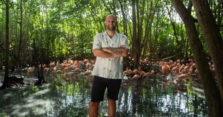 Nicolás de Zubiría - Presentador y aventurero: los papeles de Nicolás de Zubiría en la segunda temporada de su programa