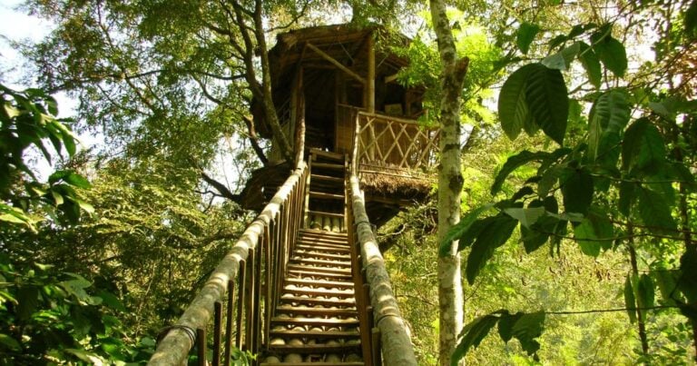 turismo en colombia - Turismo en Colombia: una casa en el aire, otra en el mar y una en un árbol, hospedajes para salir de la rutina