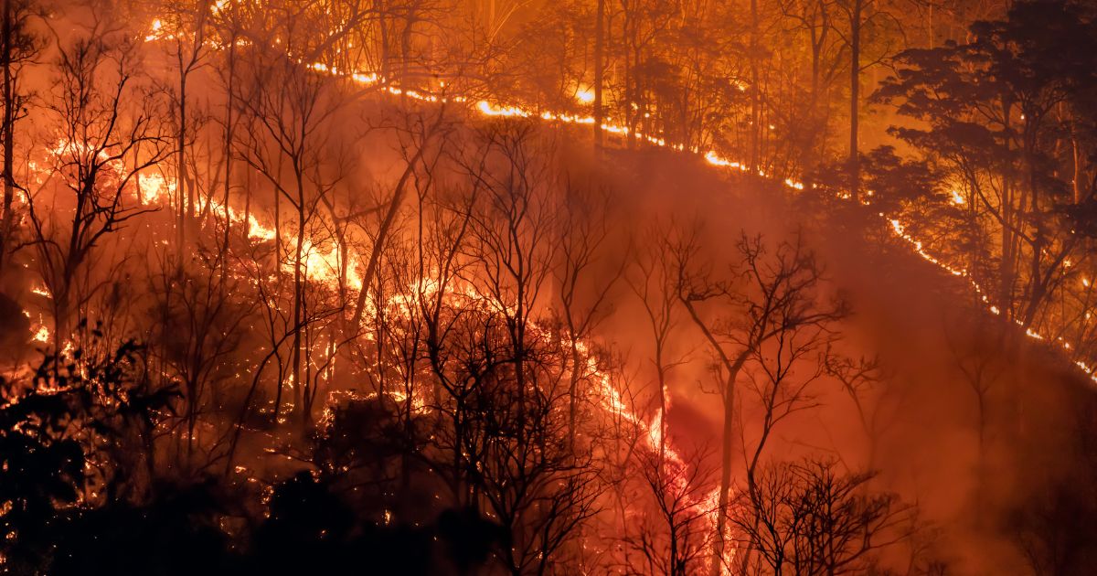COP28: el desastre climático crece, ¿ahora, quién podrá defendernos?