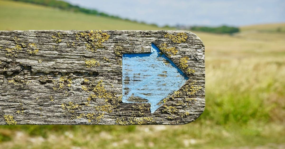 ¿Preparados para un gobierno de ultraderecha en 2026? ¿Listos para cuando se cumpla el 