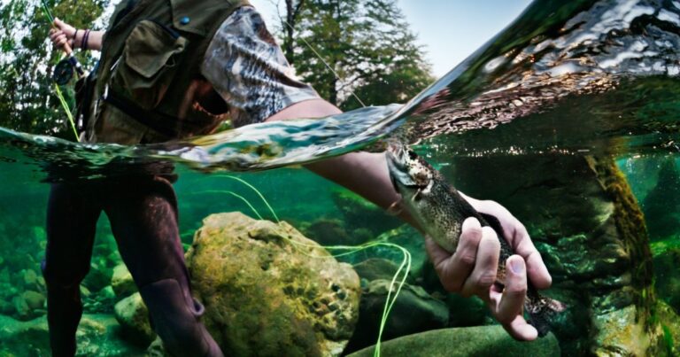  - “La respuesta al hambre del mundo está en el mar”: director de la FAO