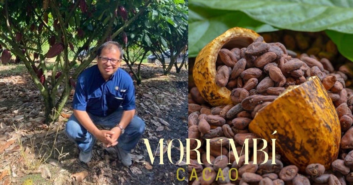 El campesino del Meta que logró mandar su cacao a Alemania y Canadá