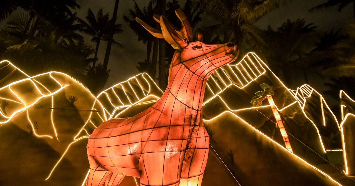 Ahora puedes elegir tu franja horaria para visitar el festival de luces 'MajestuOSOS'