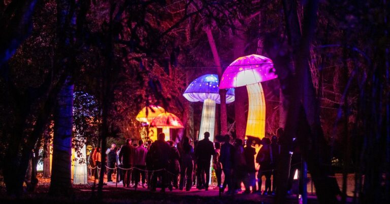 Show de luces - El show de luces de Navidad lo tiene el Jardín Botánico: Majestuoso