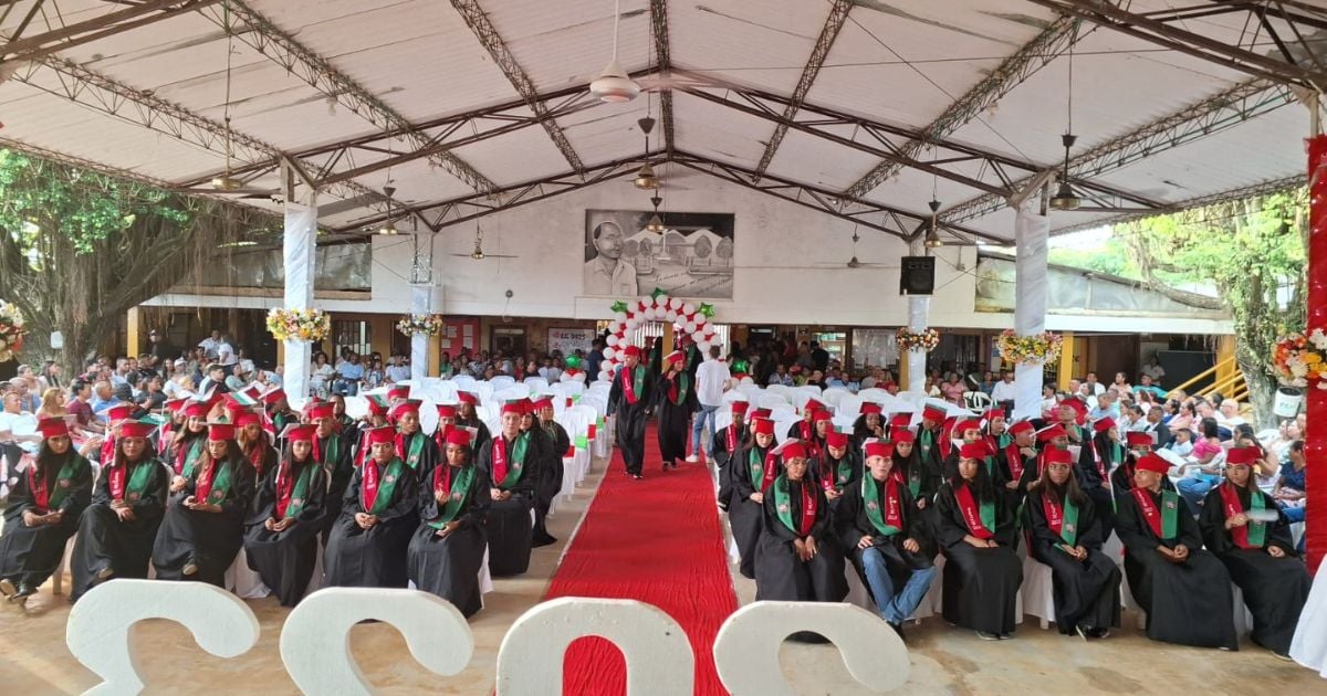 Los sueños de un bachiller