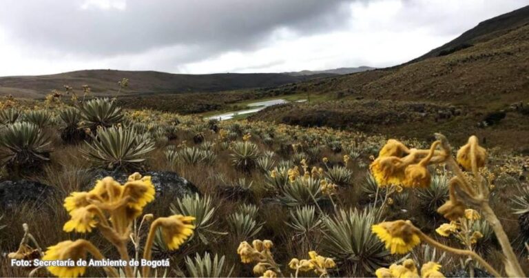 PNN - Adiós a las botellas de plástico en los Parques Nacionales Naturales, drástica medida de Petro