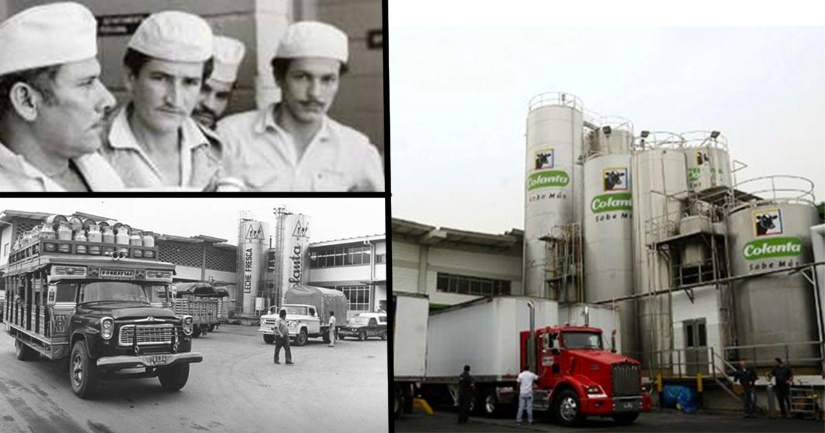 Así fue como 65 campesinos empezaron Colanta, la productora de leche más grande de Colombia