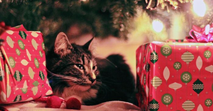 adornos navideños peligrosos