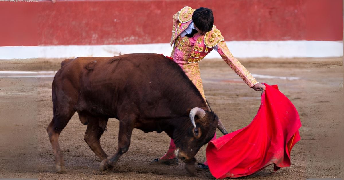 ¿Por qué las corridas de toros en La Santamaría de Bogotá podrían estar cerca de regresar? 