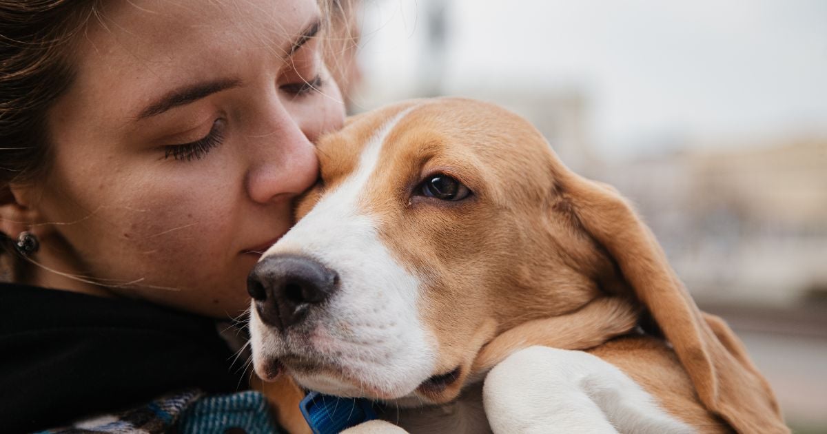 Esta es la raza de perro más amorosa, ideal para familias con niños