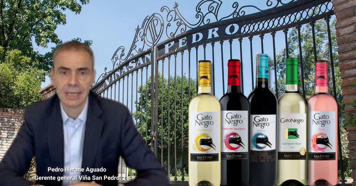 Los hermanos chilenos que crearon el vino Gato Negro, el licor que conquistó los paladares en Colombia 