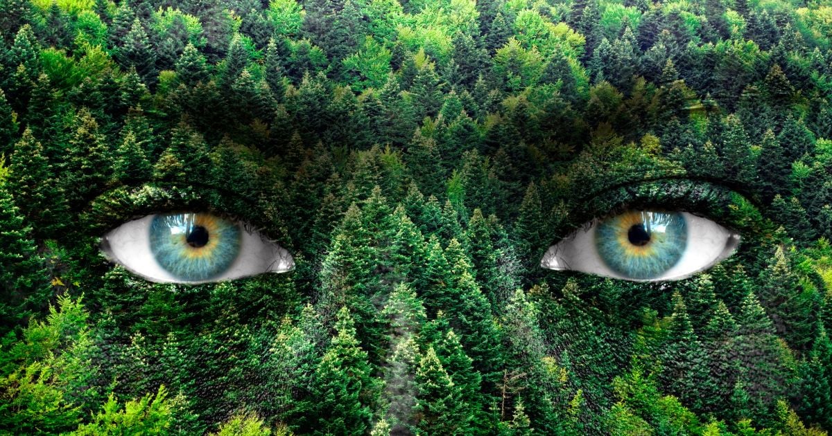 Nuestra naturaleza de ser humano