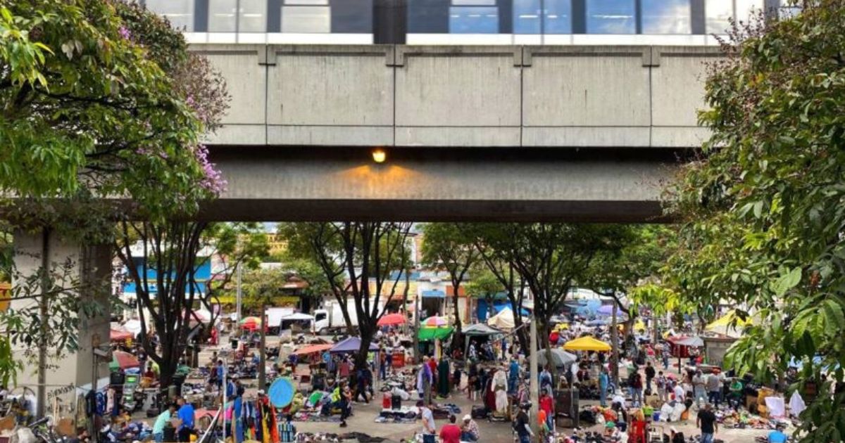 Fico ¿El Magnífico?