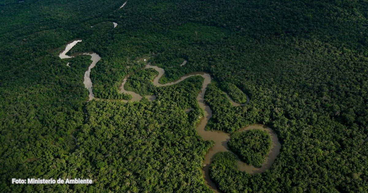 Los mayores desafíos ambientales que tiene Colombia para 2024