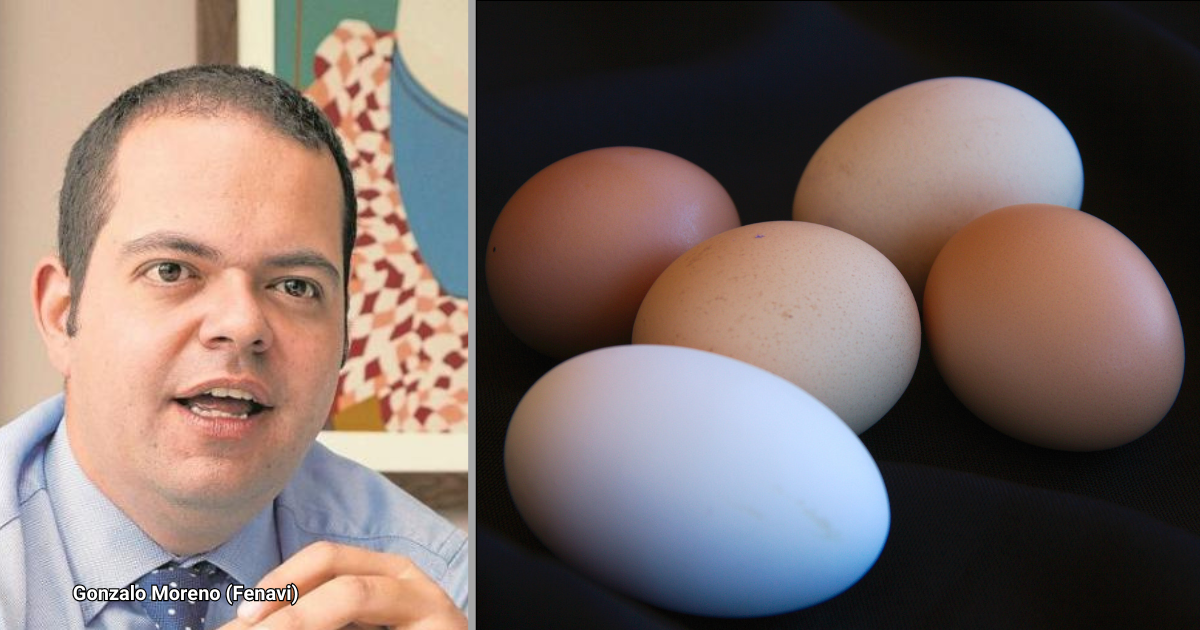Las razones por las que los precios del huevo, podrían dispararse en febrero
