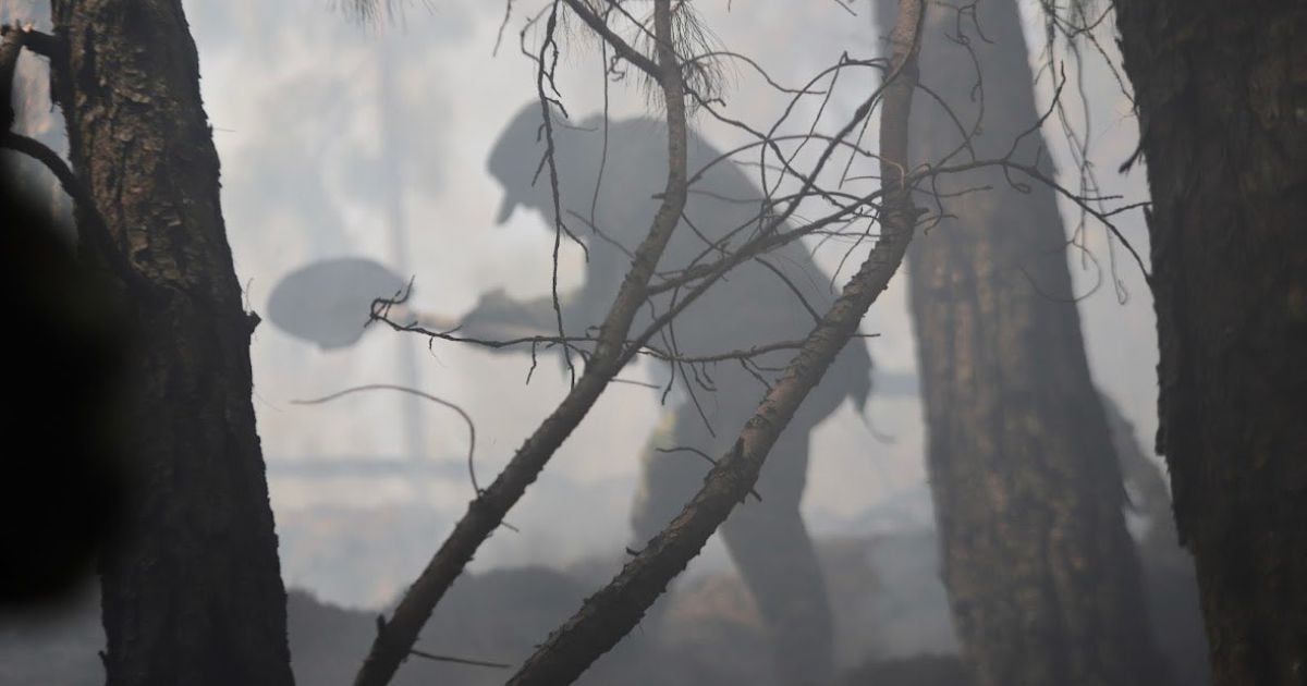 Nos estamos incendiando de a poco, pero cuando lo advirtió Petro, 
