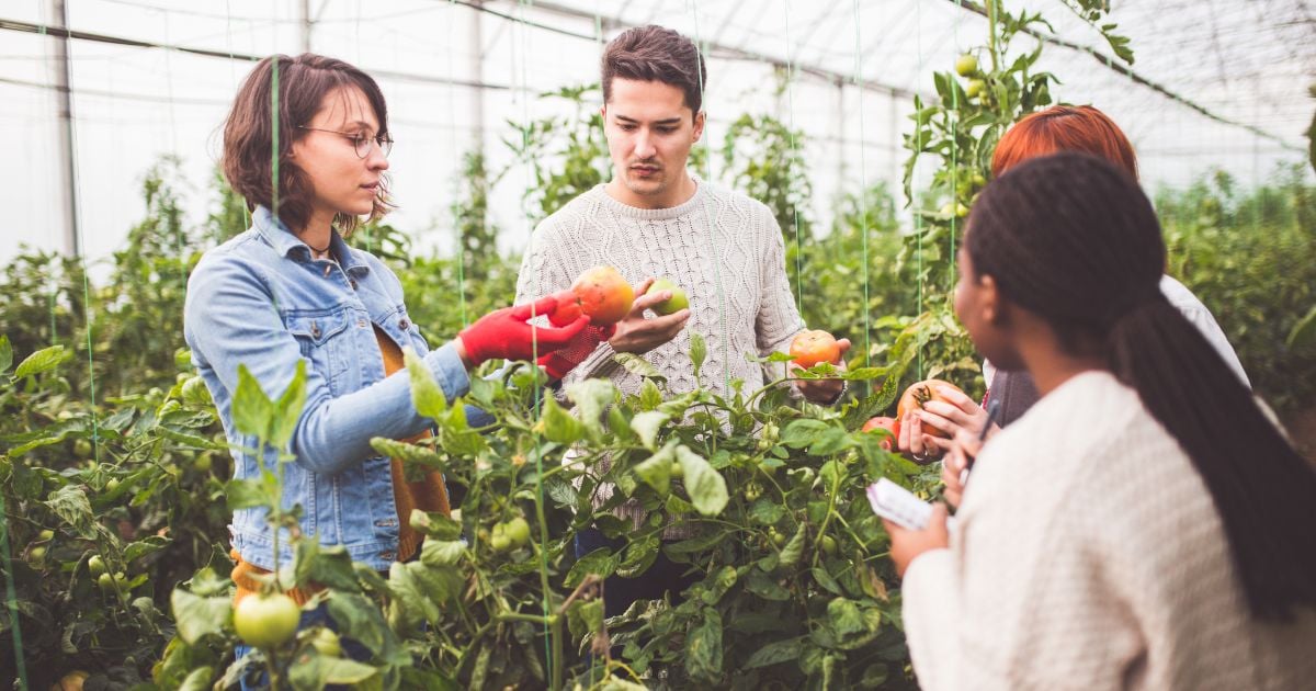 La reactivación de Tello, Huila, una realidad gracias a los circuitos cortos de comercialización