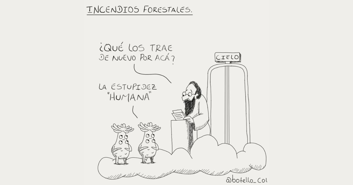Caricatura: Incendios forestales