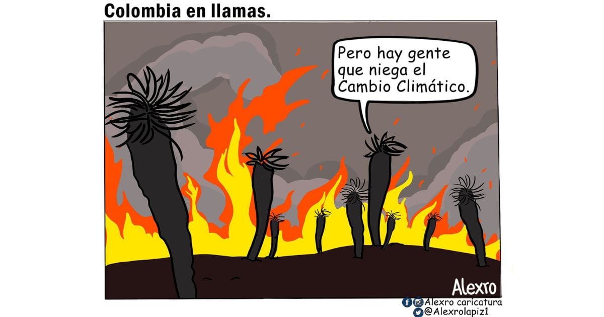 Caricatura: Colombia en llamas