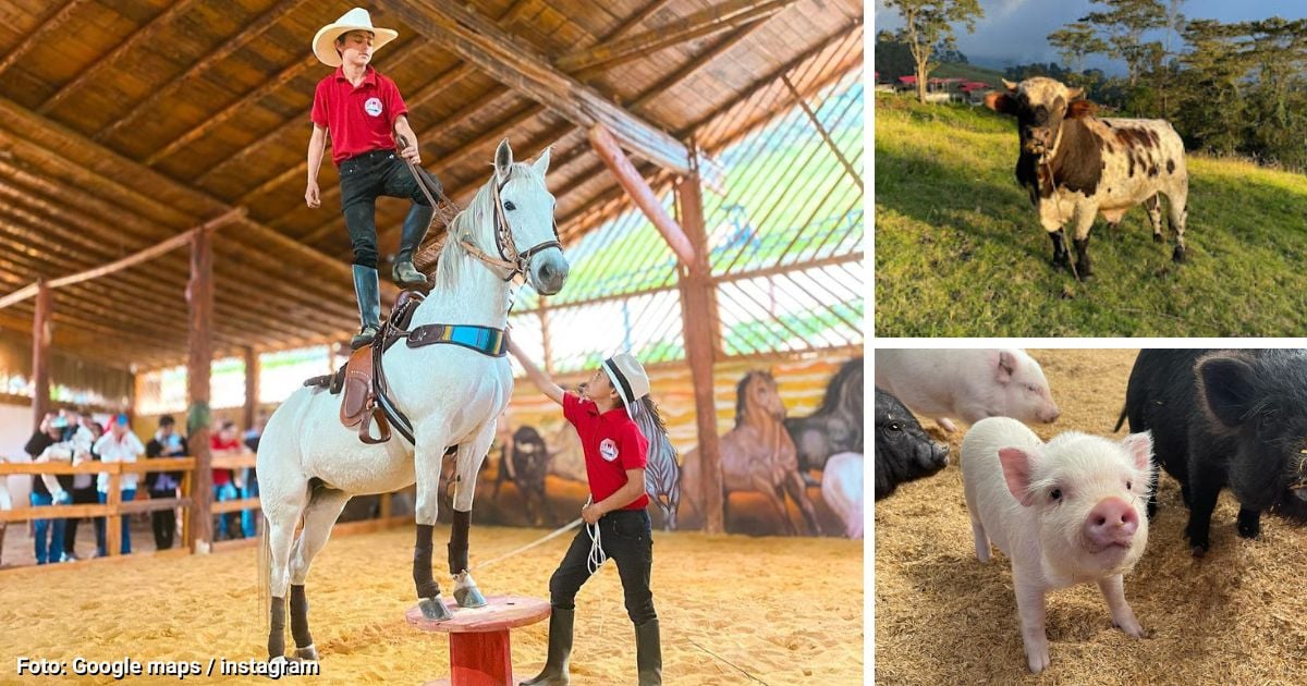 El nuevo ecoparque cerca de Bogotá que puede visitar por 35 mil pesos 