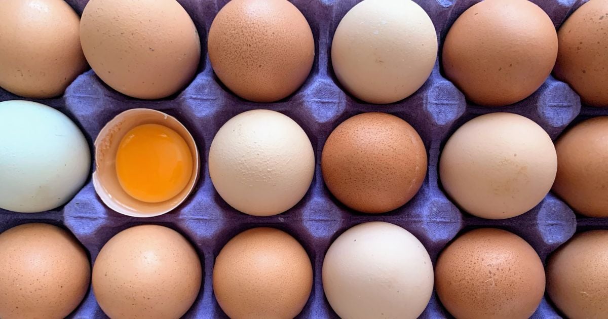 Los 3 supermercados donde el precio de los huevos está baratísimo; cubeta a menos de 12 mil