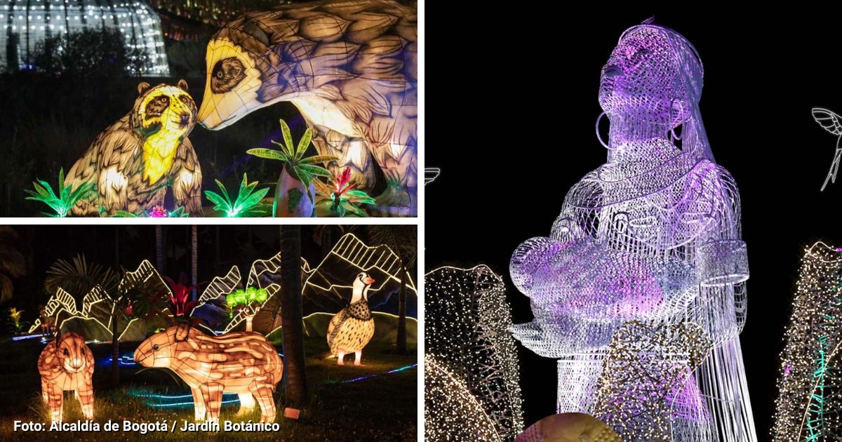 La gran promoción que tiene el Jardín Botánico para aquellos que no disfrutaron su show de Navidad