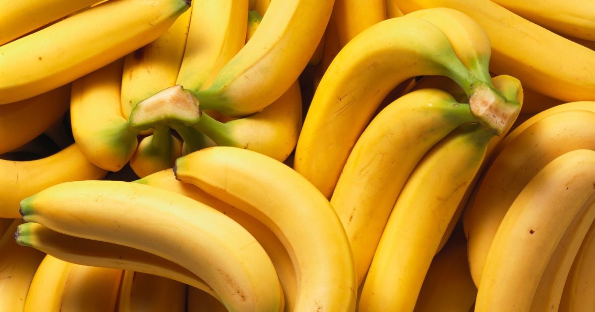 El banano colombiano apuesta por el reconocimiento sostenible en el mercado europeo