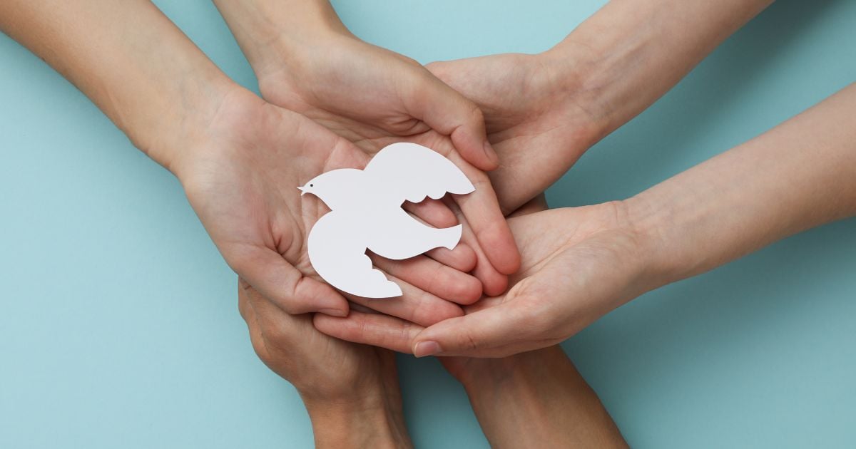 Una propuesta urgente para rescatar la paz total