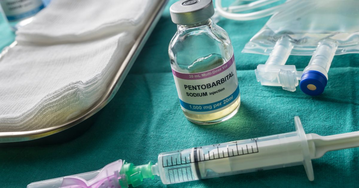 Año 2050: se busca coordinador/a de eventos