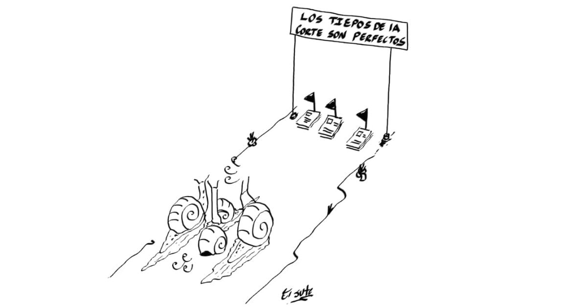 Caricatura: Los tiempos de la Corte son perfectos