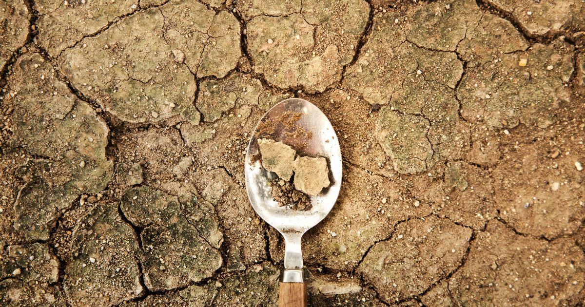 La crisis global, ¿sin remedio?